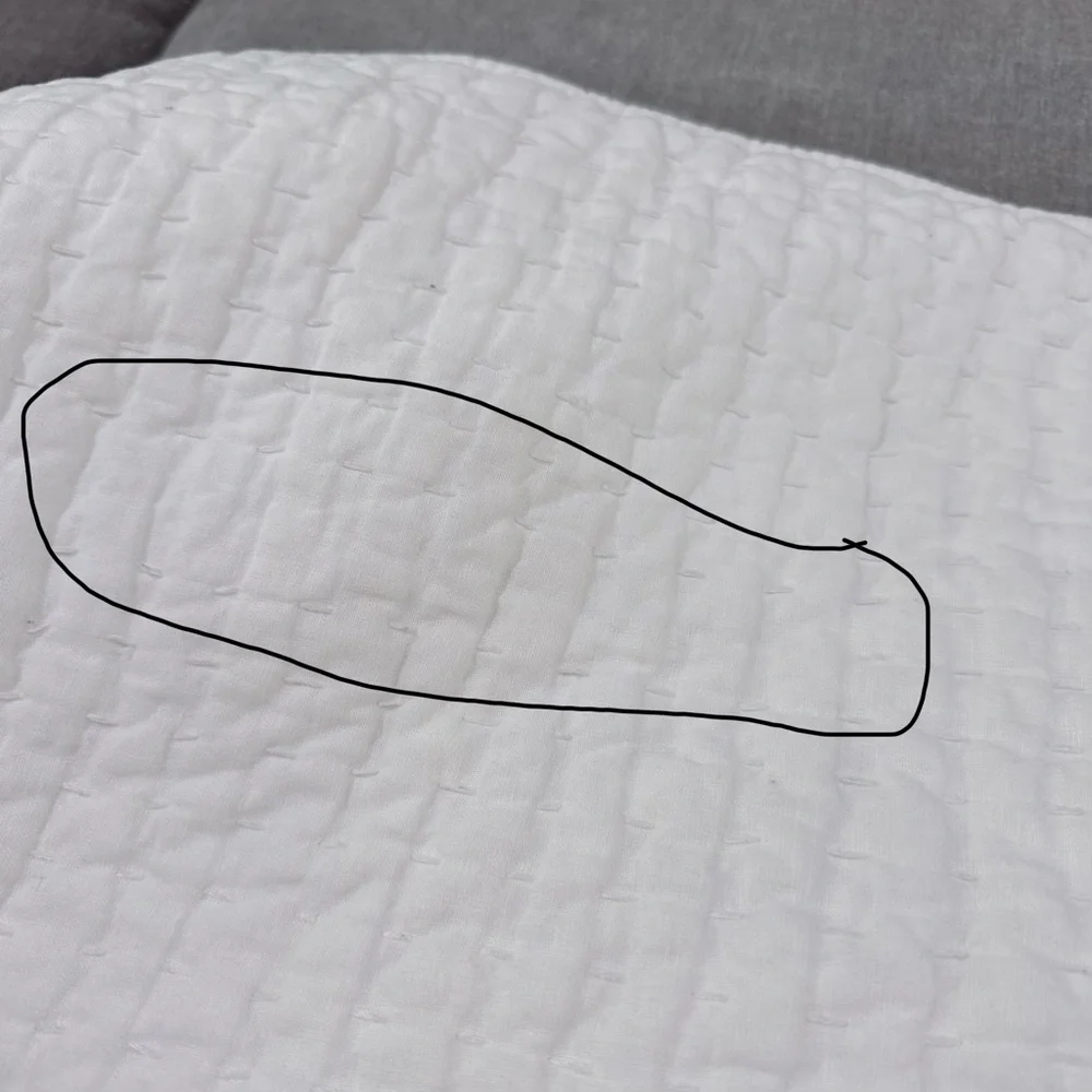 Pottery Barn King Shams - Picture 5 of 11